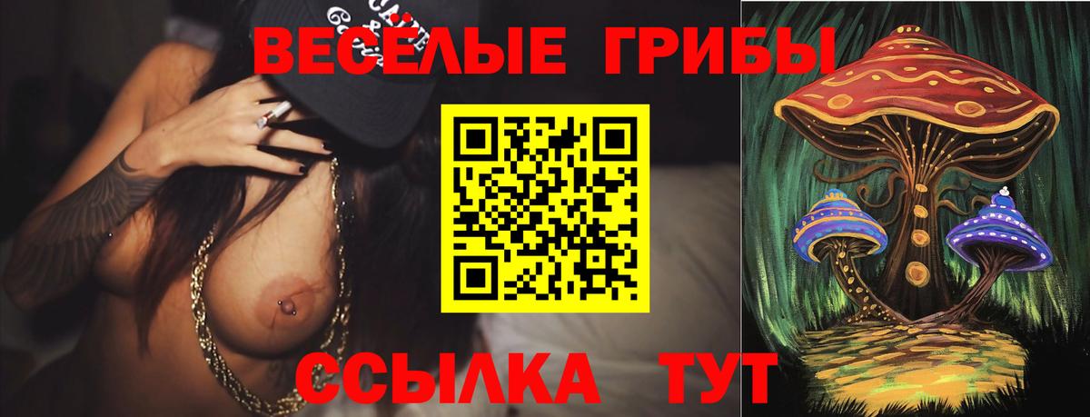 Галлюциногенные грибы прущие грибы  Вход с VPN  Асино  Псилоцибиновые грибы Psilocybine cubensis 